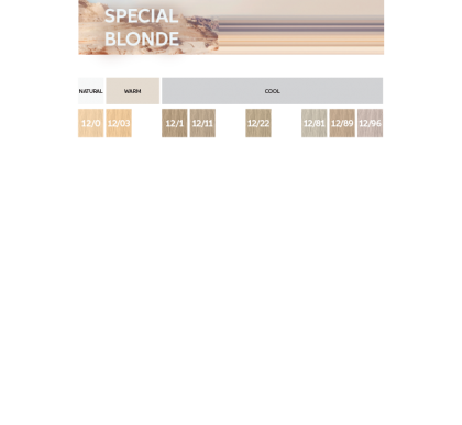 elabeauty-special-blonde6